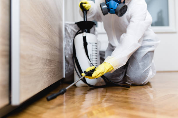 Best Affordable Pest Control Services  in Ida Grove, IA