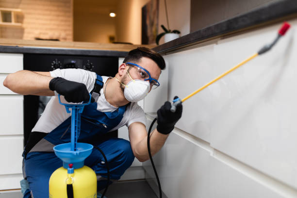 Best Pest Removal Services  in Ida Grove, IA