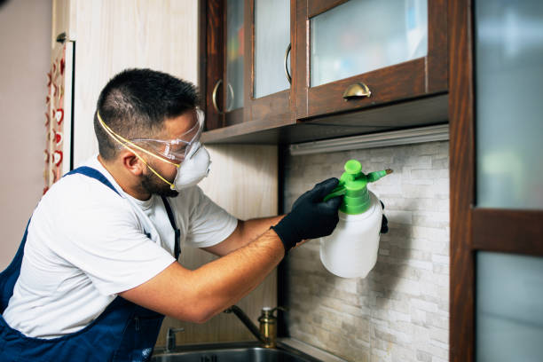 Professional Pest Control in Ida Grove, IA