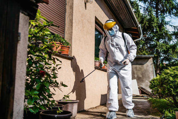 Best Pest Control for Homes  in Ida Grove, IA