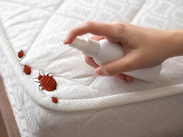 Best Exterminator Services  in Ida Grove, IA