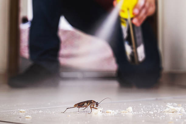 Best Commercial Pest Control Services  in Ida Grove, IA