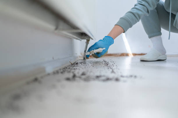 Best Local Pest Control Services  in Ida Grove, IA